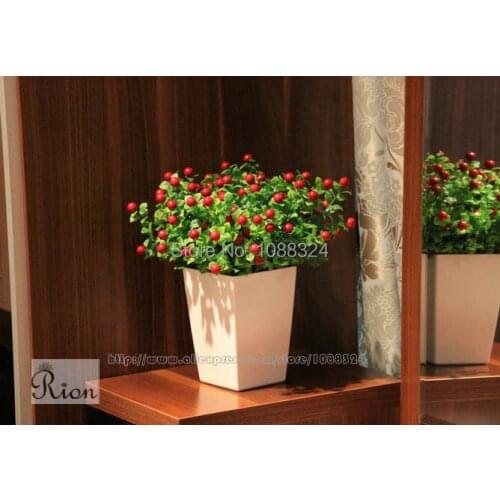 Silk love bean with vase for decor ,Craft fabric plant with beans , Party Event display , artificial love token , 0398