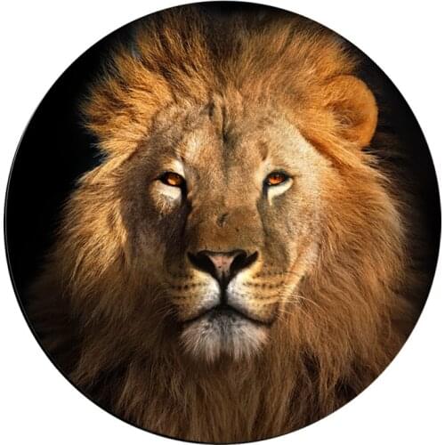 Three-dimensional lion round self-adhesive tile stickers decorative waterproof non-slip floor stickers