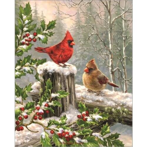 Counted Cross Stitch Kits Needlework Embroidery - Crafts 14 ct Aida DMC Color DIY Arts Handmade Home Decor - Winter Visitors