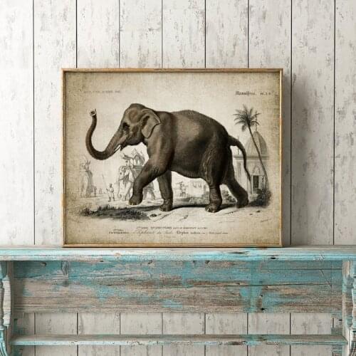 Vintage Indian Elephant Illustration Poster Canvas Print Elephant Photo Picture Retro Wall Art Painting Living Room Home Decor