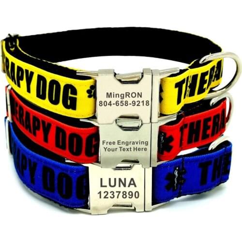 Personalized Pet Collar Free Engraving Custom Puppy Name ID Tag Adjustable 3 Colors Basic Therapy Dog Collars Leash Set