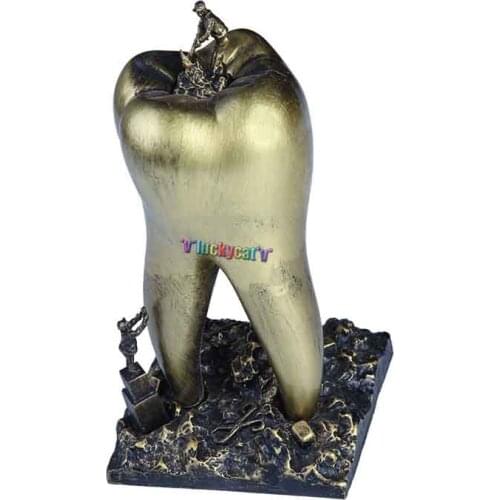 Dental model gift Teeth Handicraf Dentistry Clinic Decoration Furnishing Articles Creative Sculpture Dentist Gift Resin Craft