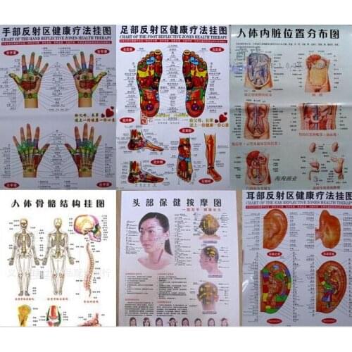 Free shipping 10 pcs Scrapping healthcare human acupuncture wall chart diagram foot hand head ear acupuncture meridian chart
