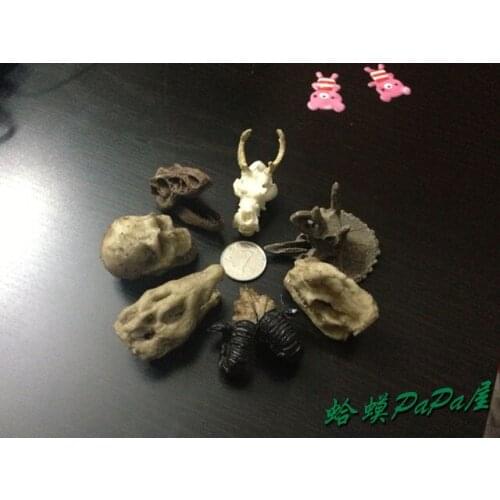Buy three get one) all kinds of skulls, reptiles, lizards, spiders, scorpions, boxes, decor, green resin materials, non-toxic