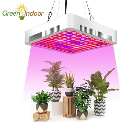 Phytolamp 1000W LED Grow Light Timer Phyto Lamp For Plants Seedlings Home UV IR Full Spectrum Led Lights With Adjustable Rope