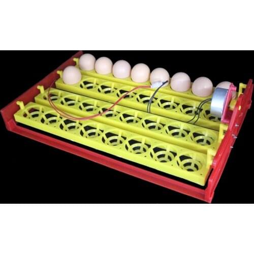 32 Eggs Turn Tray Automatic Incubator Egg Tray 110v / 220v / 12v Chicken Duck Eggs Tray 28 X 43 cm 8 Holes