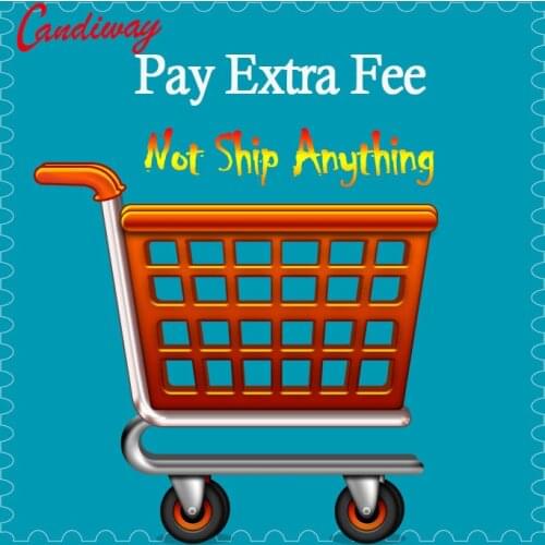 Pay Extra Fee link ,not really ship anything