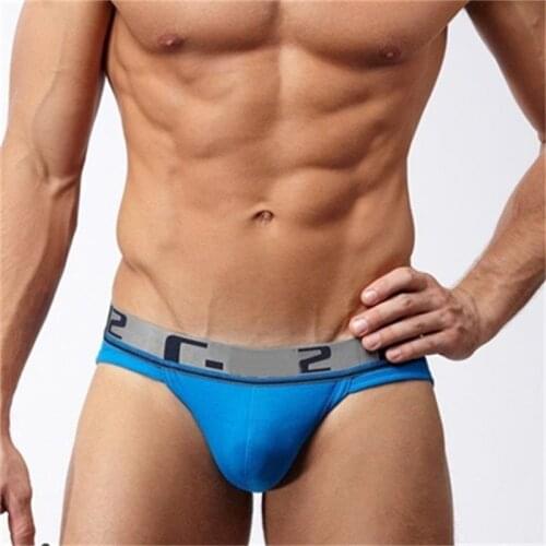 Free Shipping Men Underwear Men Sexy Pouch Briefs Pant For Men Mens High Quality Cotton Briefs Gay Underwear