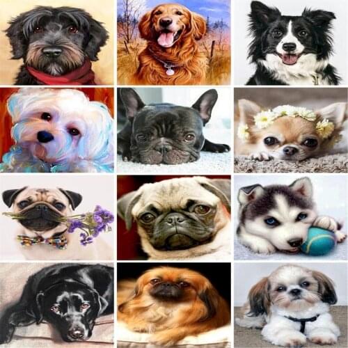 GATYZTORY 60x75cm Frameless Oil acrylic Painting By Numbers For Adult child Animals dog on canvas Home Decoration Canvas Painti