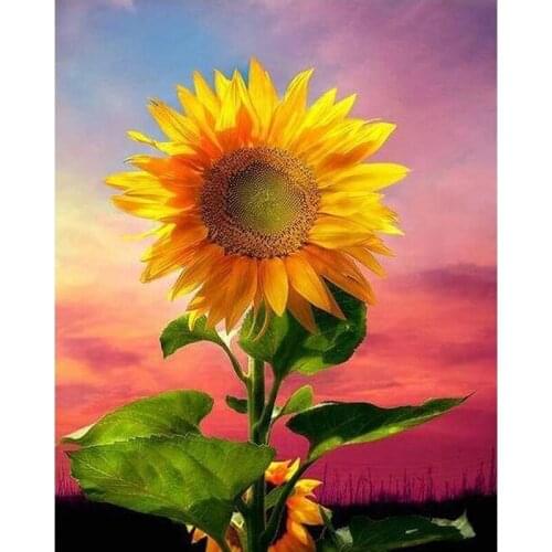 Full Square/round Diamond 5D DIY Diamond Painting Sunflower Embroidery Cross Stitch Rhinestone Mosaic Home Decor