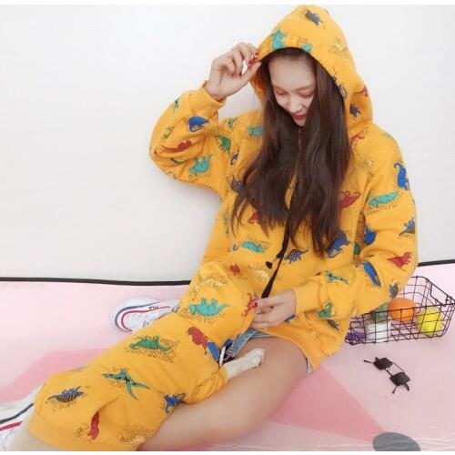 Autumn and winter Plush Pet parent-child clothes cat and dog clothes kitten hooded two legged clothes Teddy bluecat clothes