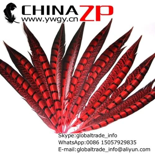 CHINAZP Factory Retail and Wholesale 200pcs/lot Size from 12 inch to 14 inch Dyed Red Lady Amherst Pheasant Feathers
