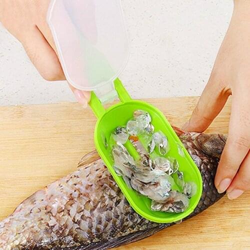 Scraping Scale Kill Fish With Knife Machine Creative Multipurpose Home Novel Supply Kitchen Cooking Tool