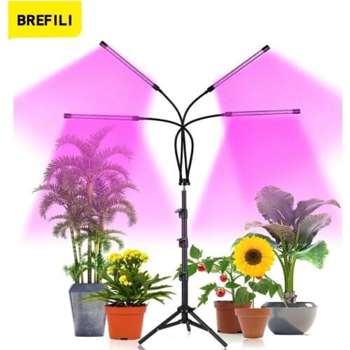 LED Plant Grow Light 5V USB Bracket Red Blue Full Spectrum With Timer For Indoor tent seedling VEG flower phyto lamp fitolamp