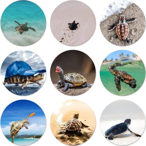 Cute little turtle Icons Pins Badge Decoration Brooches Metal Badges For Backpack Decoration 58mm