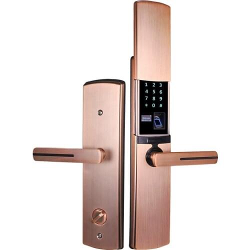 Double-sided fingerprint password lock intelligent entrance door anti-theft door special electronic lock slide card door lock fo