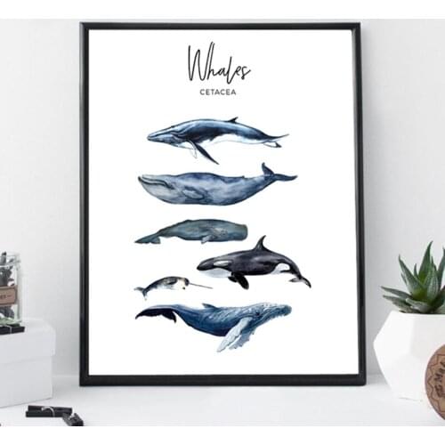 Watercolor Whales Canvas Art Print Painting Wall Decor Marine Art Cetacea Poster Retro Wall Pictures for Home Room Decoration