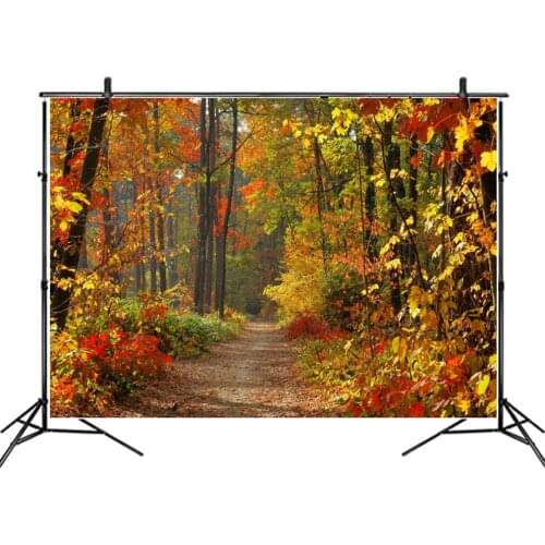 Landscape Backdrop Beautiful Late Autumn Scenery Party Photography Background Holiday Celebration Photo Booth Studio Decor