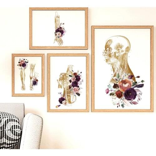 Muscular System Wall Anatomy Art Medical Floral Organs Heart Lung Poster Student Education Hospital Picture Decoration Home Deco