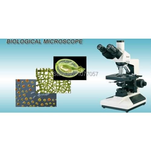 Hot Sale Made in China 40X-1600X Binocular Biological Microscope,Binocular Compound Microscope BM-L2000A