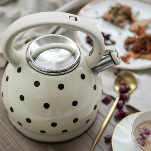 Household hemispherical sounding kettle 3.5L stainless steel non-magnetic flat bottom kettle with color spray and dot whistle