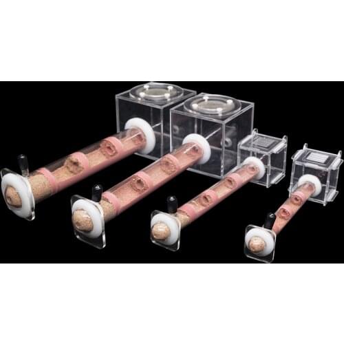 DIY Various Size Ant Farm Bamboo Tube Nest with Feeding Area Pet Anthill Workshop Queen Ant Breeding Nest Ant House Nest Bracket