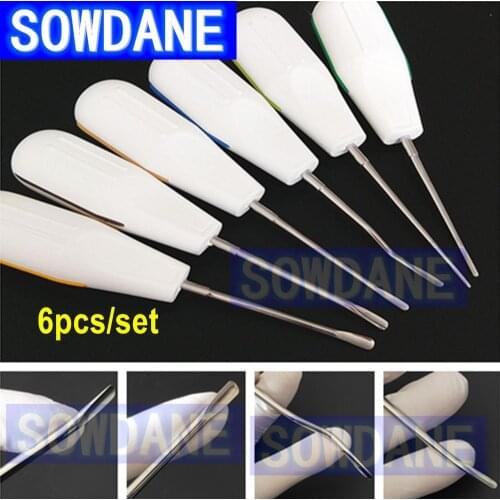 6pcs/set Dental Teeth Extracting Elevator Minimally Invasive Root Extraction Elevator Tooth Extracting Tool Plastic Handle
