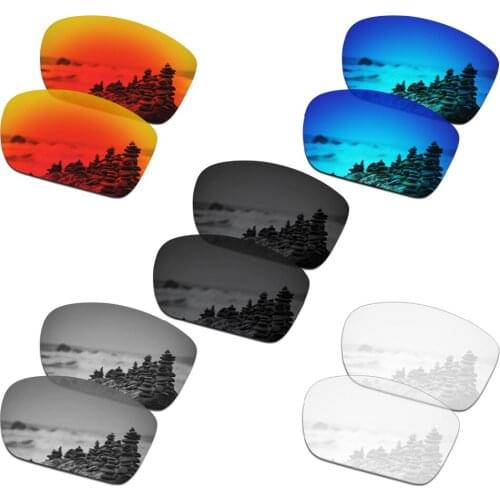 SmartVLT 5 Pairs Polarized Sunglasses Replacement Lenses for Oakley Big Taco - 5 Colors