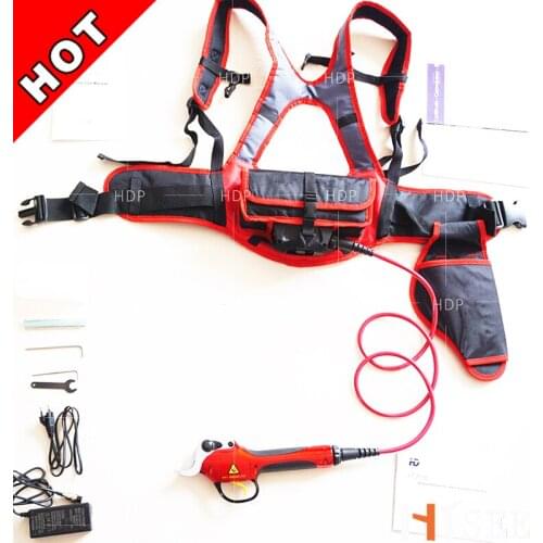 Electric tree pruner (CE 6-8 working hours)