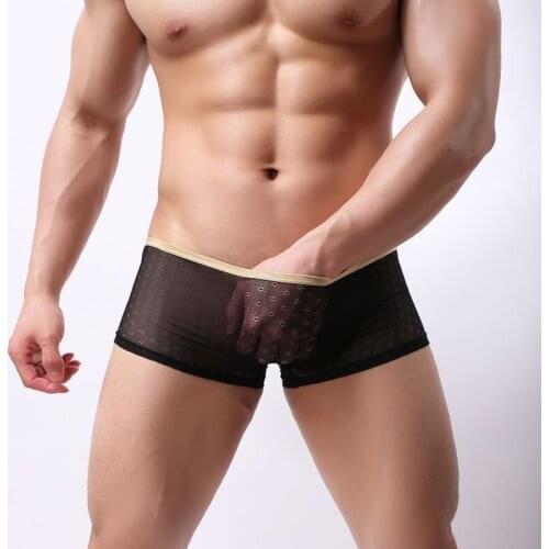 Sexy Man Ultra Thin Mesh Boxers Shorts See Through Transparent Underwear Bulge Panties Gay Male Erotic Lingerie Shorts