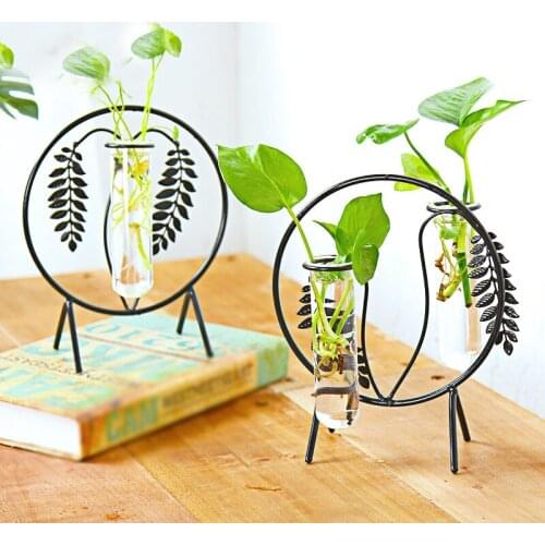 European Fashionable Transparent Glass Vase with Black Iron Vase Stand for Water Planting Decoration Gift Desktop Flower Pot