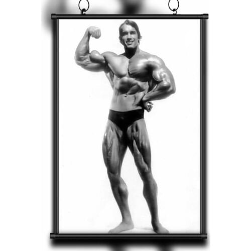 41 Custom Poster Silk Home Deco ARNOLD SCHWARZENEGGER Bodybuilding Motivational Gigantic Strong Wall Art Christmas Gift