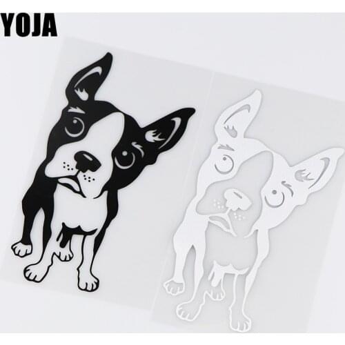 YOJA 10X17.3CM Boston Terrier Puppy Animal Scratch Cover Decal Car Sticker Decoration ZT4-0089