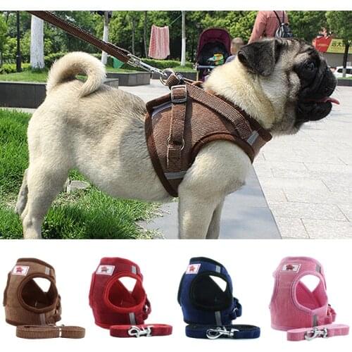Holapet Harnesses