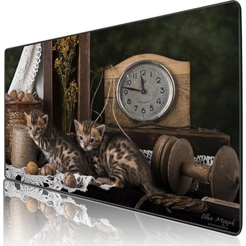 XGZTwo Cat Babies Live Together Art Mouse Pad Personality HD Pattern Custom Table Mat Computer Notebook Keyboard Mat Customzable