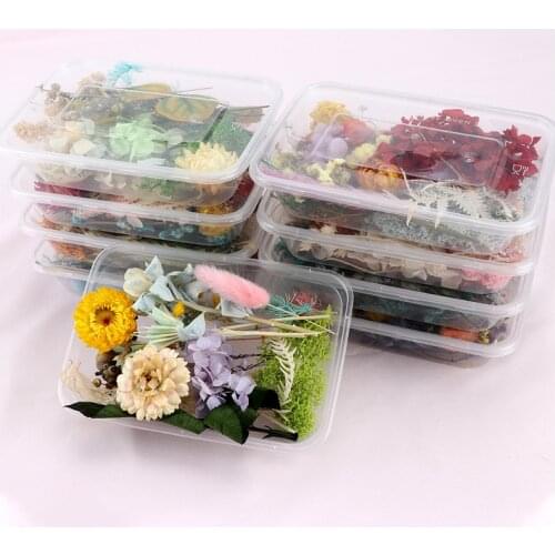 1 Box Colorful Real Dried Flower Plant For Aromatherapy Candle Epoxy Resin Pendant Necklace Jewelry Making Craft DIY Accessories