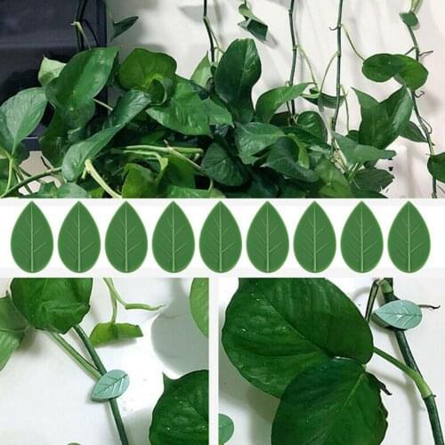 20pcs Plant Fixture Clip Plant Climbing Wall Self-Adhesive Fastener Tied Fixture Vine Buckle Hook Garden Plant Wall Climbing