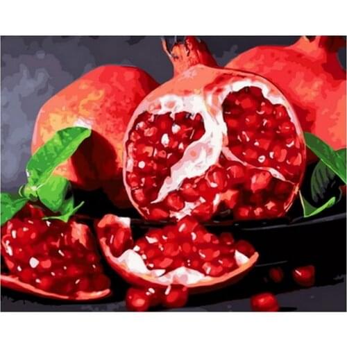 Frameless diy painting by numbers picture by numbers for home decor still life painting 4050cm pomegranate