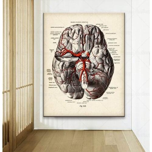 Vintage Brain Diagram With Veins Poster Artwork Medical Wall Canvas Print Painting For Hospital Clinic Decor wall decor