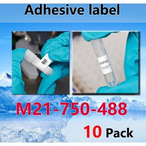 10 Pack M21-750-488 Polyester Label Ribbon 19.1mmX6.4m for BMP21 Plus ID PAL LABPAL Label Maker labeling machine and BMP21-LAB