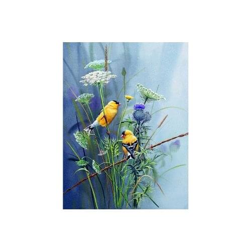 Zhui Star Full round Drill 5D DIY Diamond Painting "Flower bird" 5D diamond Embroidery Cross Stitch Rhinestone Mosaic Decor gift