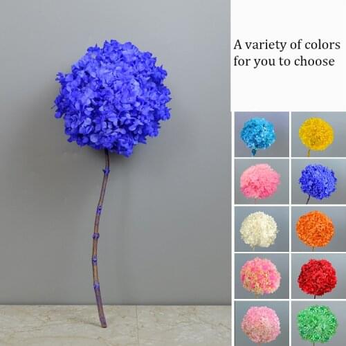 Large High Quality Eternal Flower Hydrangea Fresh Preserved Immortal Flower DIY Wedding Bouquet Accessories Valentine’s day Gift