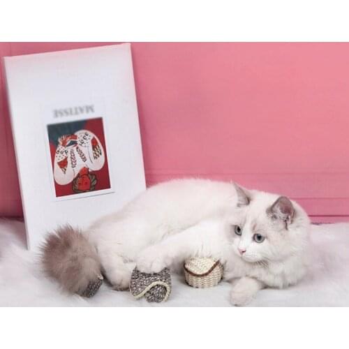 Cats Toys Funny Interactive Cats Chew Toys with Gnawing Pet Cat Exercise Toy Sisal Balls Cat Claw Grinding Tease Ball for Cat