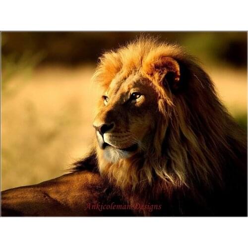 Needlework for embroidery DIY French DMC High Quality - Counted Cross Stitch Kits 14 ct Oil painting - Portrait of Lion