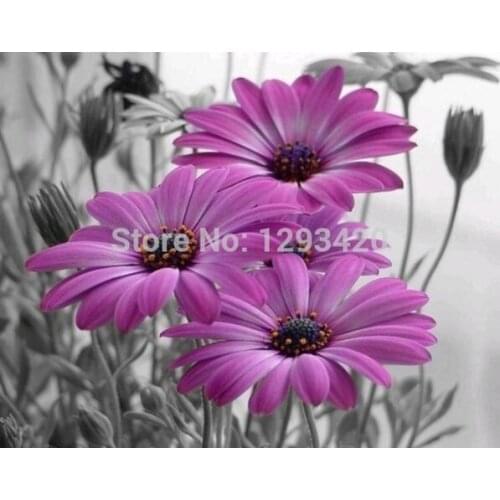 Diamond Embroidery Flower Purple Chrysanthemum Diamond Cross Stitch Crystal Full Diamond Sets Decorative Diy Diamond Painting