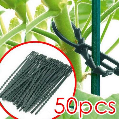 50pcs Self-locking Nylon Cable Tie Reusable Garden Plastic Cable Tree Climbing Cane Support Clips Plant Strapping