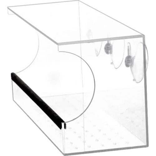 Window Bird Feeder Removable Seed Tray with Strong Suction Cups Drainage Holes for Up-Close Indoor Bird Watching