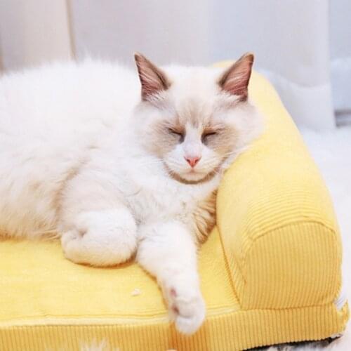 Cat Cushion Removable and Washable Cat Bed Dog Cushion with Pillow Sofa Cushion Suitable for Small and Medium Cat Cage Products