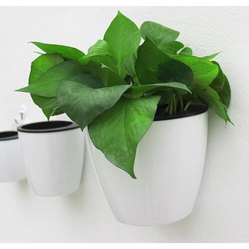 Automatic Water Absorption Lazy Flower Pot Water Culture Hydroponics Wall Hanging Basin Plant Bonsai Storage Holder Basket