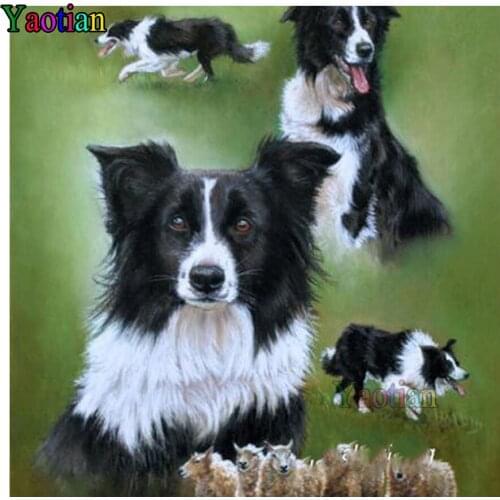 100% Square Round Resin 5d Diamond Painting Border collie DIY Diamond Embroidery Mosaic Diamond Art 3d Pastes Home Decor
